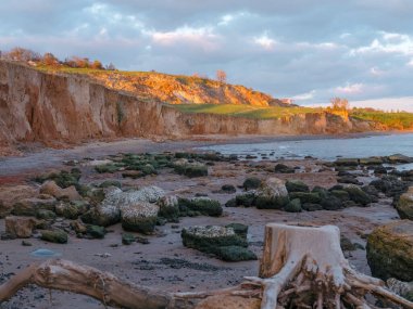 Beautiful landscape at sunset in Black sea coast with steep clay bank, big stones and tree stump on beach near Odessa in Ukraine. clipart