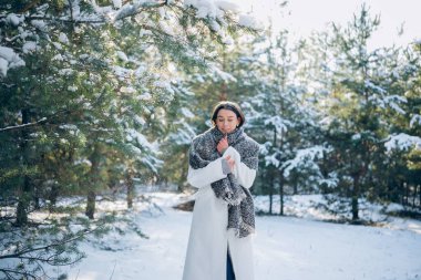 Soğuk kış günlerinde karlarla kaplı çam ağaçları arasında yürürken atkıya sarılmış mutlu esmer kadın. Yakın plan..