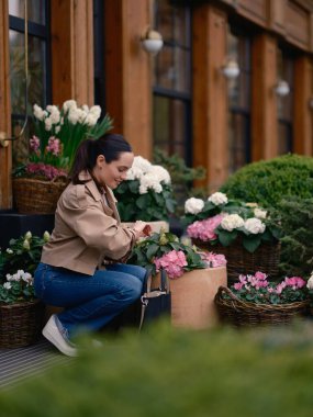 Çiçekçinin yanında oturan ceketli ve kotlu şık genç kadın çiçek açan ortancalar ve sepetlerdeki siklamenlerle çevrili..