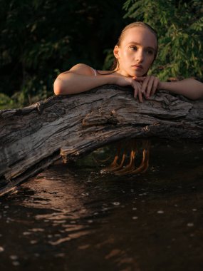 Genç ıslak kadın, ağaç gövdesinin yakınındaki sığ bir orman deresinde uzanıp dinleniyor. Huzurlu doğal ortam, yumuşak ışık ve sakin ruh hali. Yaz günü, doğa bağlantısı ve açık hava rahatlaması..