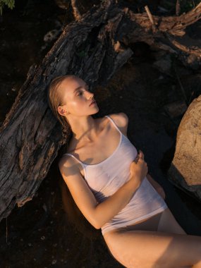 Genç ıslak kadın, ağaç gövdesinin yakınındaki sığ bir orman deresinde uzanıp dinleniyor. Huzurlu doğal ortam, yumuşak ışık ve sakin ruh hali. Yaz günü, doğa bağlantısı ve açık hava rahatlaması. Üst görünüm.