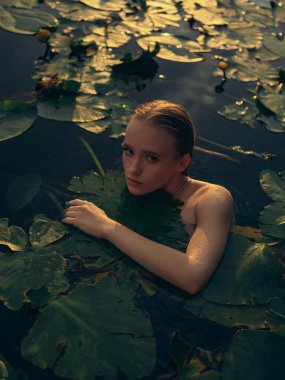 Gölde yüzen ve gün batımında yaprakların ve sarı nilüferlerin arasında dinlenen genç bir kadın. Arka ışık. Yakın çekim ve üst görüntü. Yaz havası, rahatlama ve doğal güzellik..