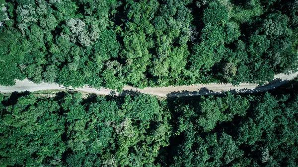 Top View Drone Small Dirt Road Trees Forest Transportation Dirt — Stock Photo, Image