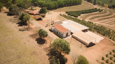 Barretos 'taki Tres Barras' ın kırsal kesiminin havadan görünüşü, yani Paulo, yemyeşil arazi ve tarım alanlarını gösteriyor, kırsal yaşamın güzelliğini yansıtıyor.