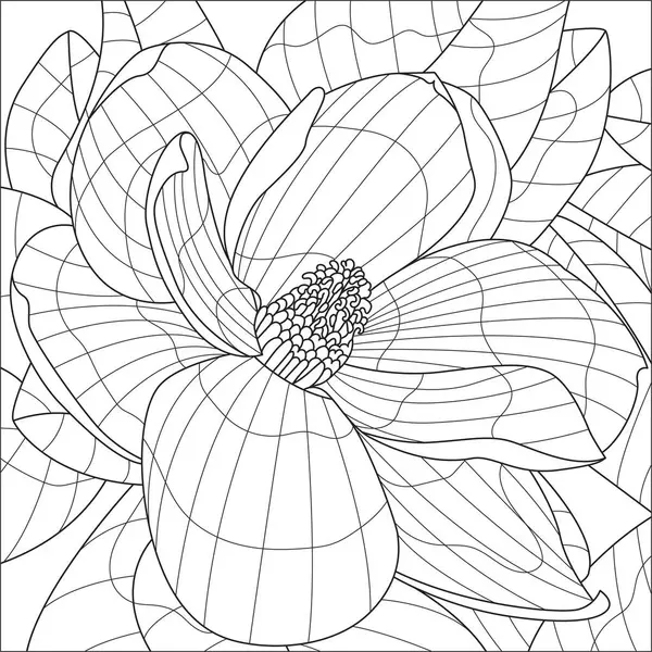 Magnolia Fleur Vecteur Coloriage Livre — Image vectorielle