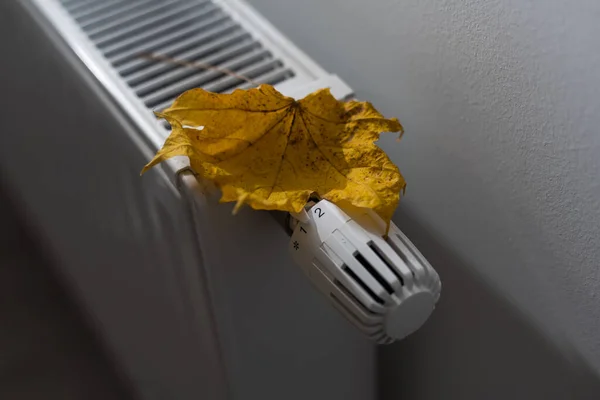 Heating battery with autumn leaf on white background. The concept of saving