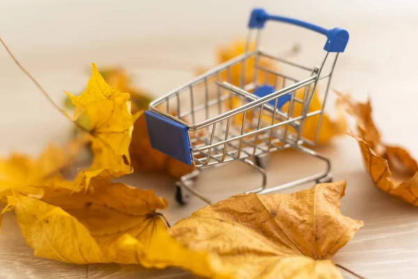 Jesienna Wyprzedaż Koszyk Żółtymi Liśćmi Białym Tle Sezonowa Sprzedaż Lub — Zdjęcie stockowe