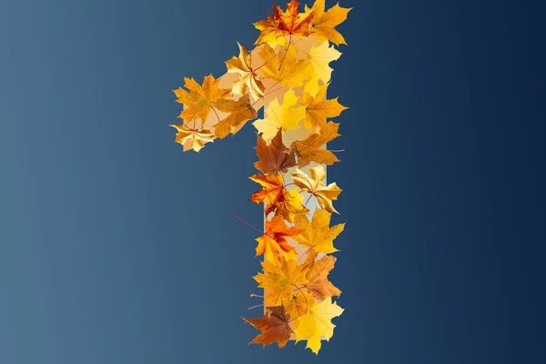 Nummer Van Kleurrijke Herfstbladeren Kardinaal Nummer Één Maakt Herfstbladeren Autumnal — Stockfoto