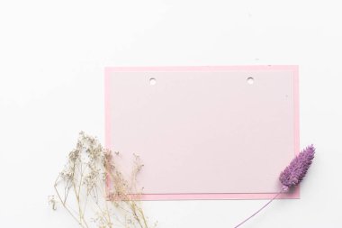 Çiçek kompozisyonu yaratıcı. Pembe çiçekler, boş kağıt pastel pembeler. Düz konum, üst görünüm, kopyalama alanı.