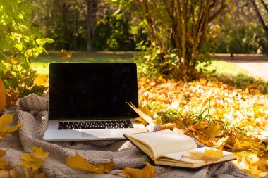 Sonbahar. Laptop, akçaağaç yaprakları yeşil çimlerde. Kavram. Üst görünüm