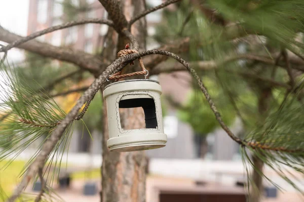 Zelfgemaakte Feeder Een Huis Gemaakt Van Hout Voor Insecten Bijen — Stockfoto