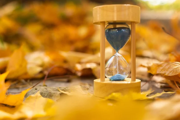 Sanduhr Und Herbstlaub Park Ein Symbol Für Die Vergehende Zeit — Stockfoto