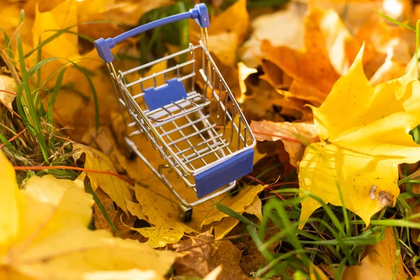 ショッピングカート 黄色の落ち葉の間のカート — ストック写真