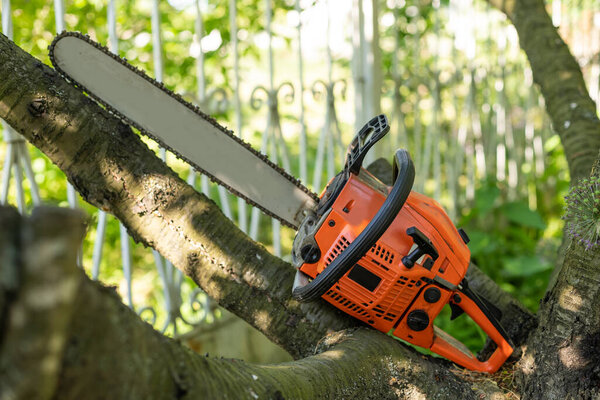 Бензопила на деревянной пне или дровах. Вырезать дерево машины широкий баннер, или копировать пространство для текста.