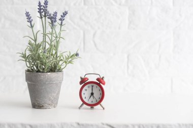 Lavantalı bir vazo ve çalar saat..