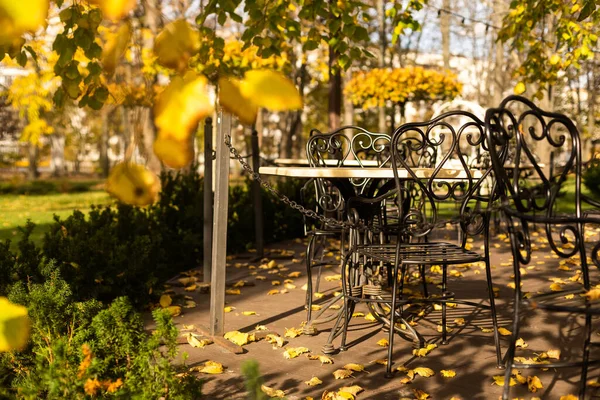 table and chairs of a street cafe in autumn leaves