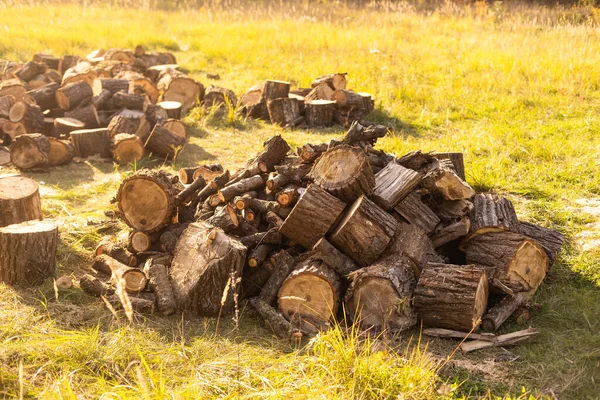 Natuurlijke Houten Achtergrond Close Van Gehakt Brandhout Brandhout Gestapeld Geprepareerd — Stockfoto