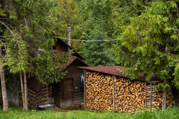 堆积起来的木柴和干树枝 燃炉柴火 收集木柴过冬 砍倒老树 — 图库照片