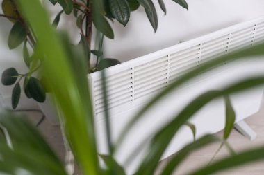 Gri arka planda bitki ve elektrik ısıtma bataryası, ev bitkileri konsepti için kuru havaya zarar verme, ısıtma mevsimi.