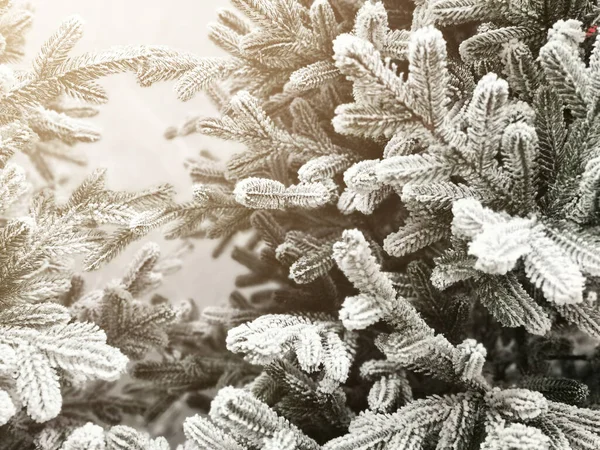 Beyaz Noel Ağacı Ile Noel — Stok fotoğraf