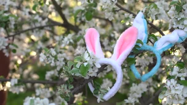 Kaninöron Blommande Träd Påsk — Stockvideo
