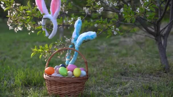 Painted Easter Eggs Basket Grass Traditional Decoration Sun Light — Stock Video