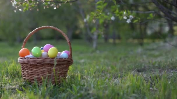 Βαμμένα Πασχαλινά Αυγά Καλάθι Στο Γρασίδι Παραδοσιακή Διακόσμηση Στο Φως — Αρχείο Βίντεο