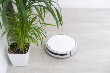 Robot elektrikli süpürge plastik zeminde sürücüler ve dökülen karabuğdayı temizler. Akıllı Ev. Ev asistanı kavramı.