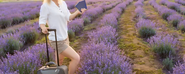 ラベンダー畑にスーツケースとパスポートを持つ女性 — ストック写真