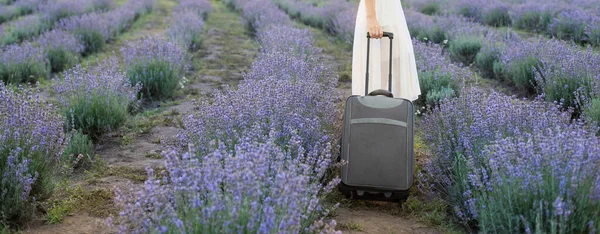 ラベンダー畑にバッグを持つ女性 — ストック写真
