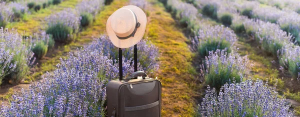 Suitcase Lavender Field Travel Lifestyle Concept — Stock Photo, Image