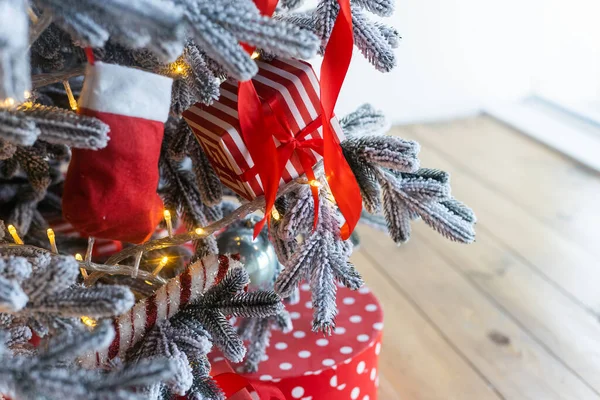 크리스마스 가문비나무와 가문비나무 — 스톡 사진