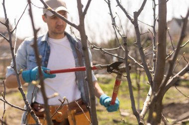 genç adam budama şube portresi.