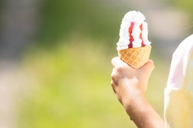 Little girl eats ice cream in the park. The child enjoys ice cream in the summer. The girl is holding an ice cream cone in her hands.
