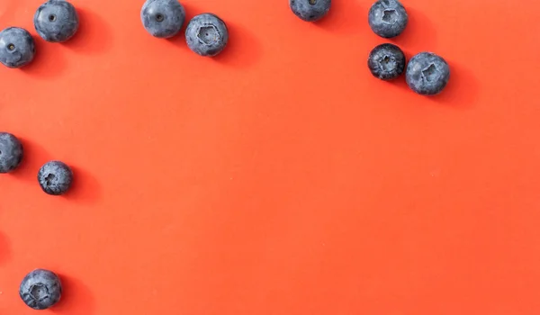 Large Blueberry Red Background — Photo