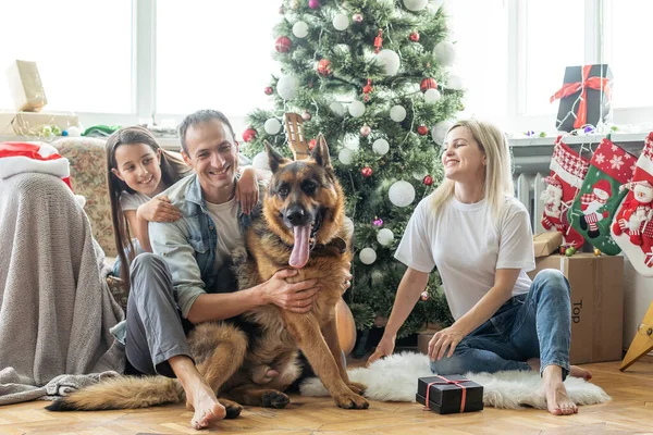 Família Amigável Está Brincando Com Cão Perto Árvore Natal Eles — Fotografia de Stock