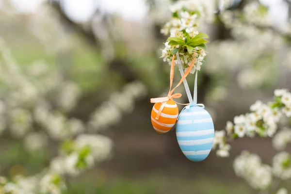 Beautiful Easter Painted Eggs Branches Blossoming Apple Tree — Stock Photo, Image