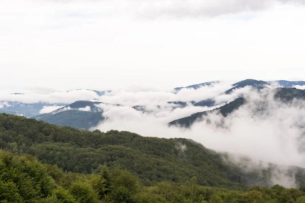 夏の日の出に雲の山 霧の中に緑の木がある山 高い岩 空と美しい風景 雲の山 — ストック写真