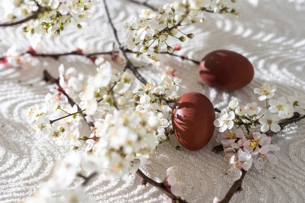 stock image Easter background with colored eggs, colored easter eggs and blooming branches. Easter composition