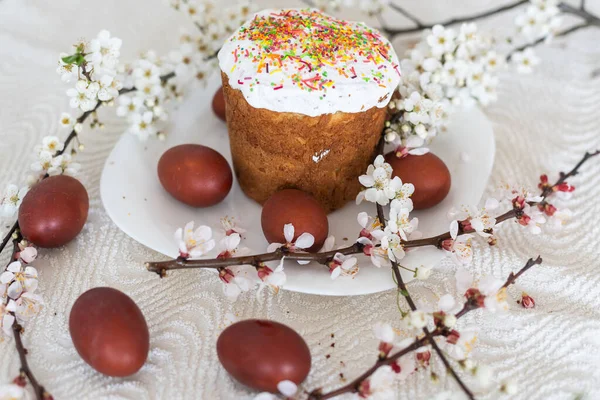 Composición Pascua Una Rama Albaricoque Floreciente Huevos Pintados Pastel Pascua — Foto de Stock