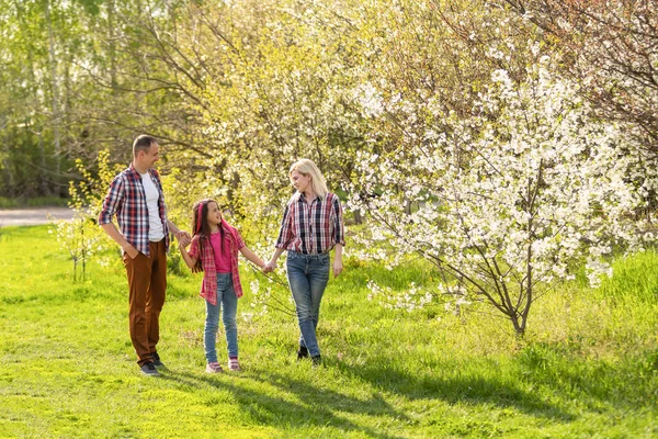 가족은 벚나무를 걸으라 — 스톡 사진