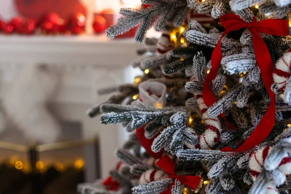 크리스마스 가문비나무와 가문비나무 — 스톡 사진
