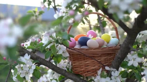 Feliz Pascua Cesta Con Huevos Pascua Hierba Día Soleado Primavera — Vídeos de Stock