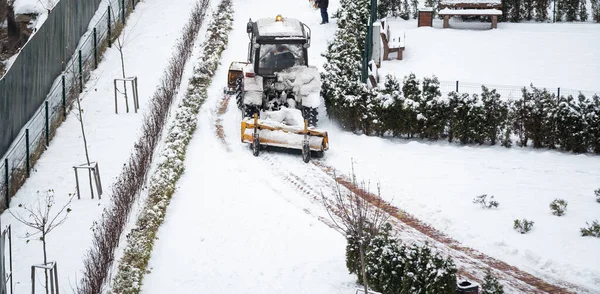 Tractor cleans snow with a brush in the city.