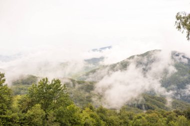 Yaz manzarasında tepenin üzerindeki dağ yolu.