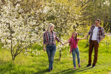 family walk the cherry trees.