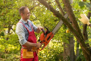 Direk testereyle ağaç dalları kesiyor..