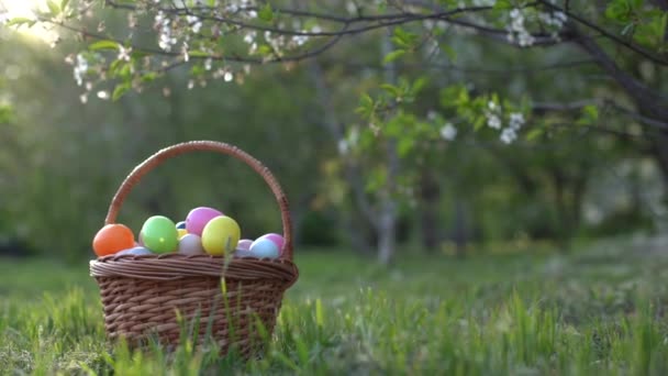 Primer Plano Coloridos Huevos Pascua Una Cesta — Vídeos de Stock