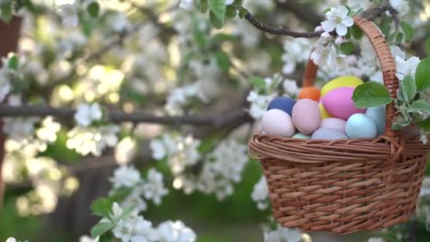 Huevos Pascua Pintados Cesta Sobre Hierba Decoración Tradicional Luz Solar — Vídeos de Stock