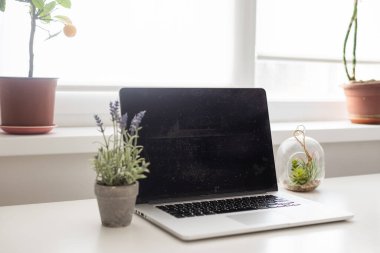 Çalışma alanı tablonun üstünde laptop ile.